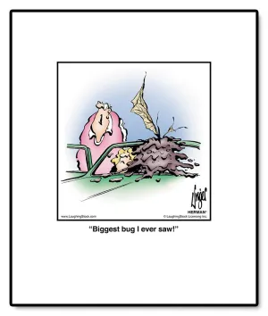 Biggest bug I ever saw!