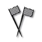 Checkered Flag Jumbo Party Picks, 3.5" | 12 ct