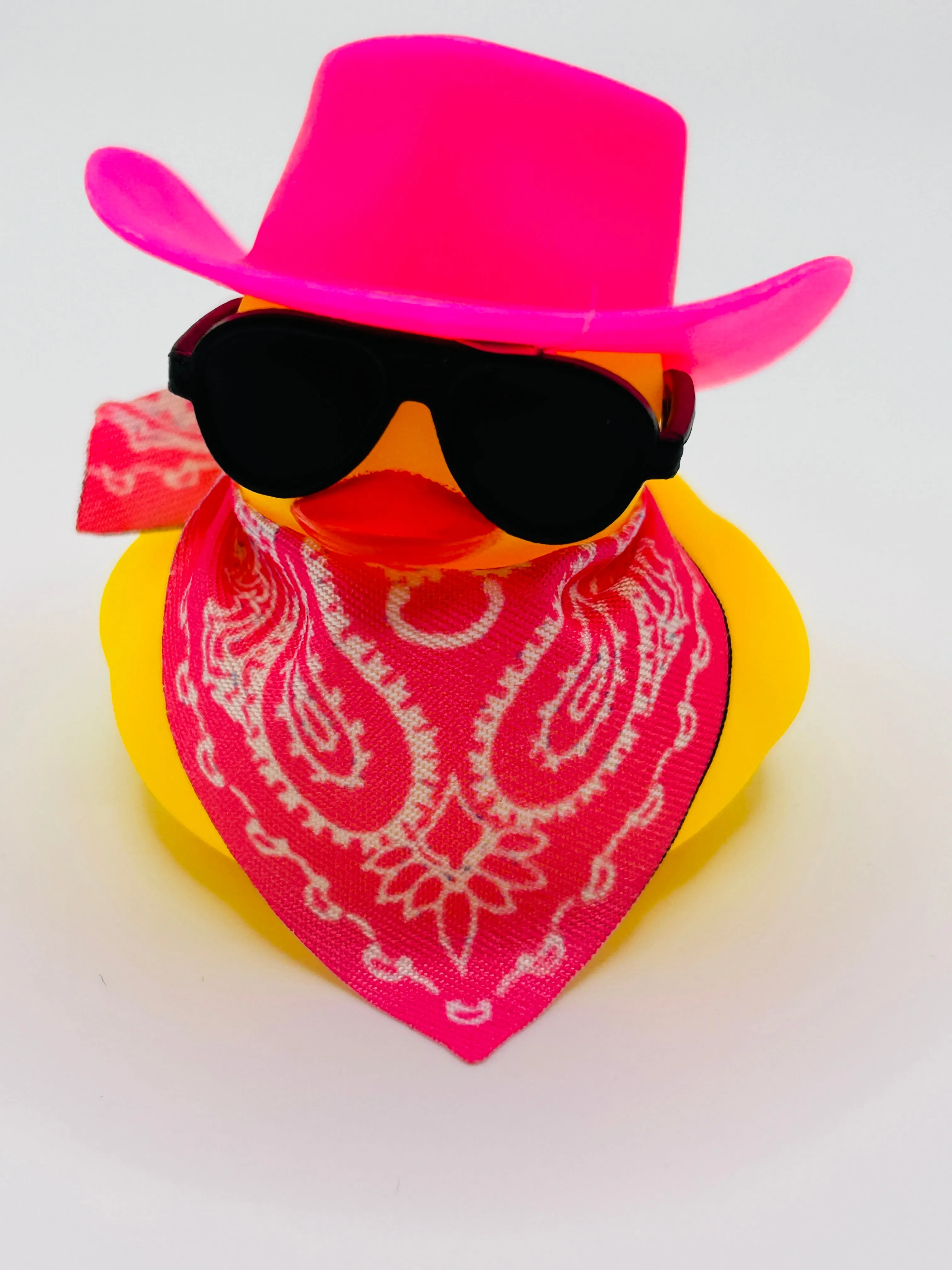 Cowboys & Cowgirls Rubber Duck Dashboard