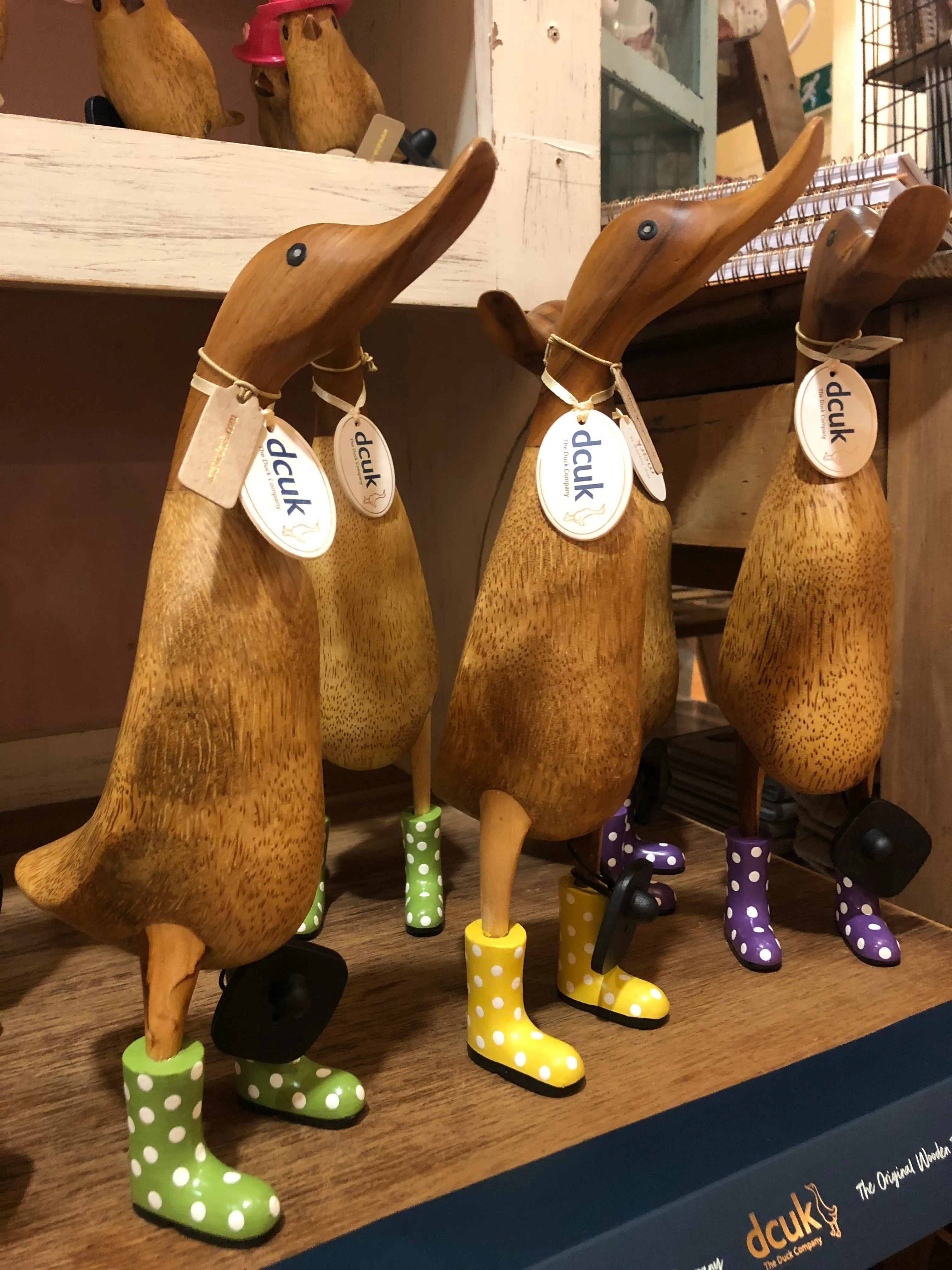 DCUK Ducklet with Spotty Welly - Blue 9787