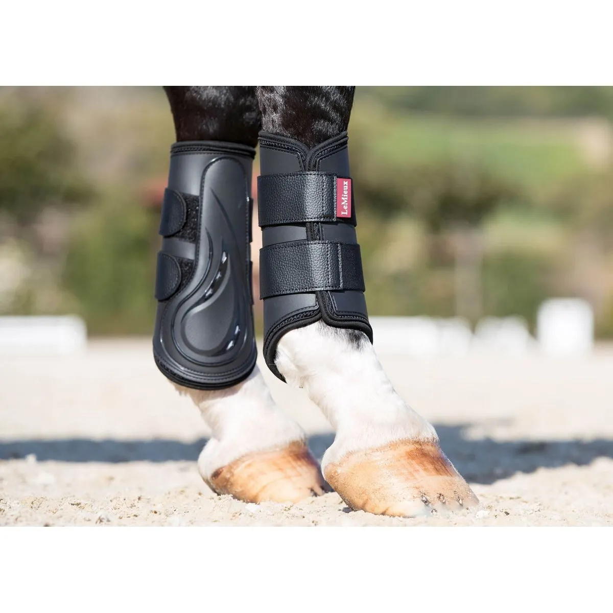 LeMieux Proshell Brushing Boots
