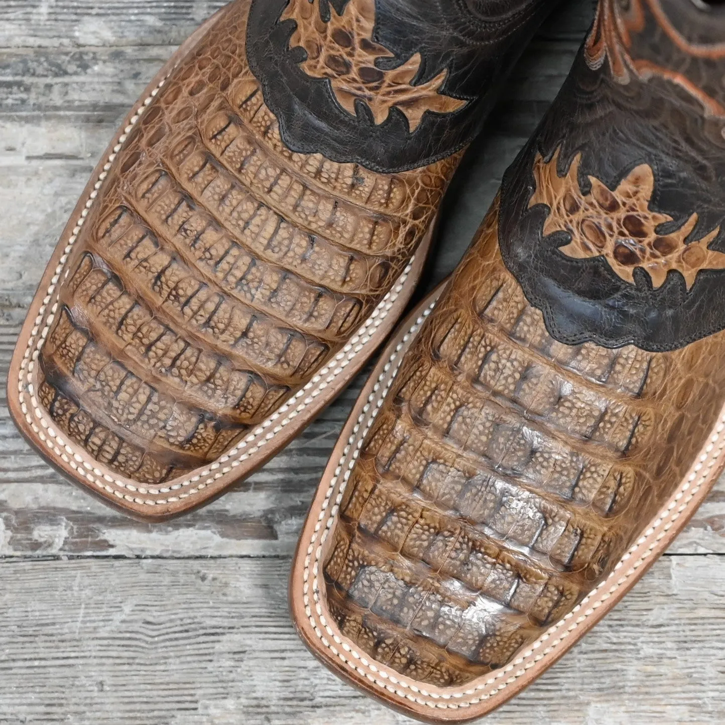 Lucchese Men's 12" Boot In Hornback Caiman W/Saddle & Diego Inlay and Pull Strap Overlays